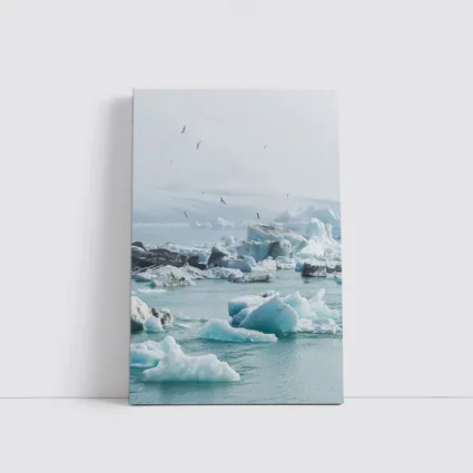 Icebergs Floating in Glacial Arctic Waters