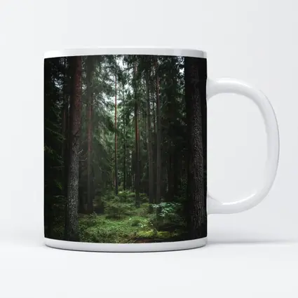 Dark Pine Forest Moss Green Woodland Scene