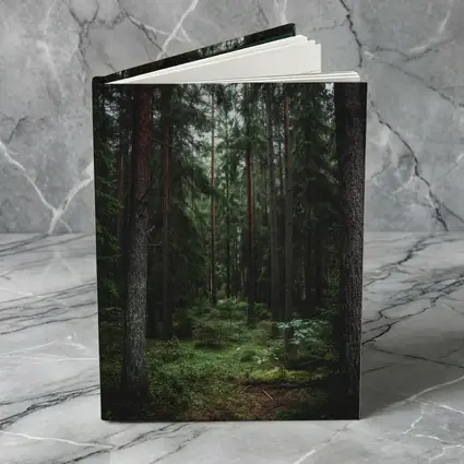 Dark Pine Forest Moss Green Woodland Scene
