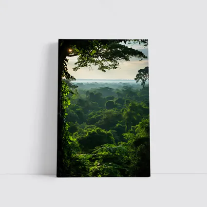 Dense Tropical Rainforest Canopy Misty Horizon