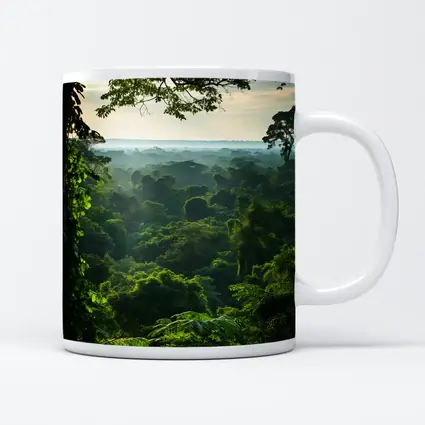 Dense Tropical Rainforest Canopy Misty Horizon