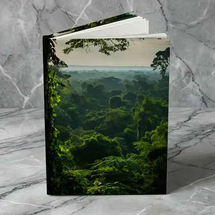 Dense Tropical Rainforest Canopy Misty Horizon