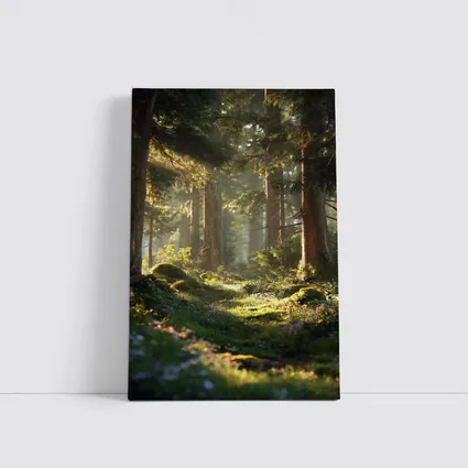 Sunlit Forest Path Through Ancient Trees