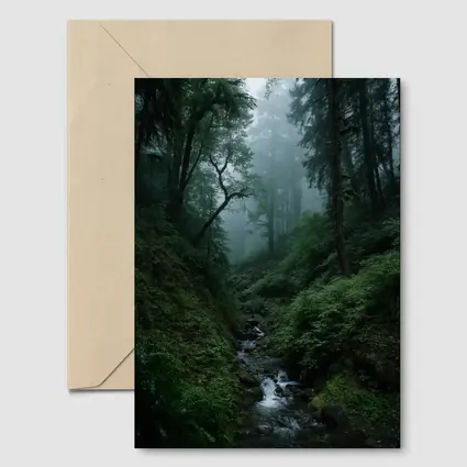 Misty Forest Stream Through Tall Dark Trees