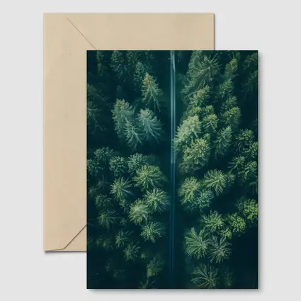 Aerial View Road Through Pine Forest