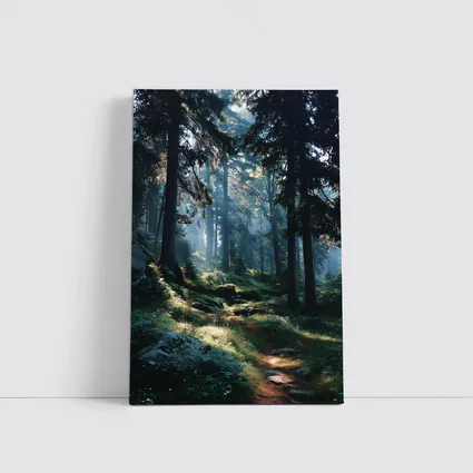 Misty Forest Path With Tall Pine Trees