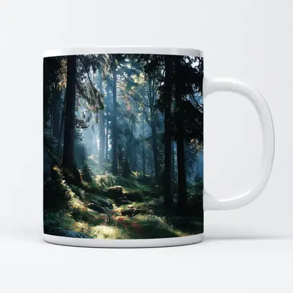 Misty Forest Path With Tall Pine Trees