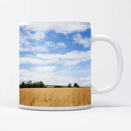 Golden Wheat Field Blue Summer Sky