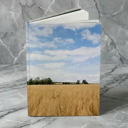 Golden Wheat Field Blue Summer Sky