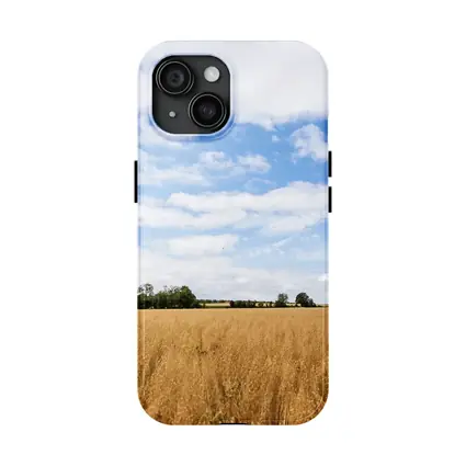 Golden Wheat Field Blue Summer Sky