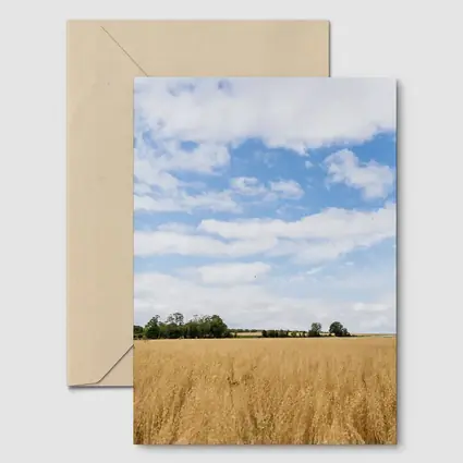 Golden Wheat Field Blue Summer Sky