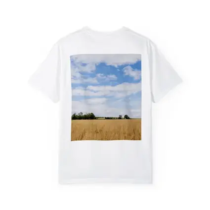 Golden Wheat Field Blue Summer Sky