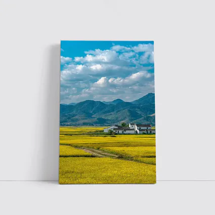 Golden Rice Fields Mountains White Farmhouse