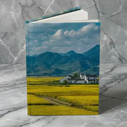 Golden Rice Fields Mountains White Farmhouse