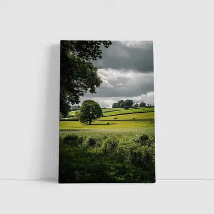 Rolling Green Fields Under Stormy Cloudy Sky
