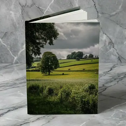 Rolling Green Fields Under Stormy Cloudy Sky