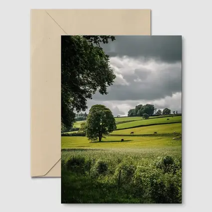 Rolling Green Fields Under Stormy Cloudy Sky