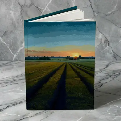 Sunset Over Green Farm Fields Art