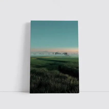 Misty Rice Fields at Early Morning Dawn