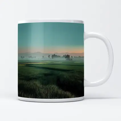 Misty Rice Fields at Early Morning Dawn