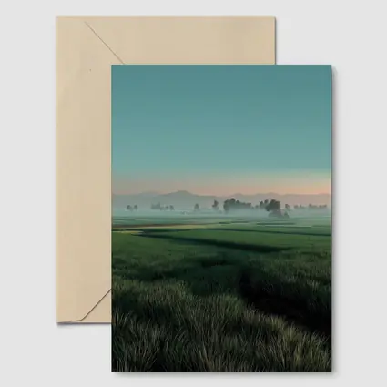 Misty Rice Fields at Early Morning Dawn