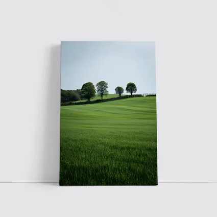 Green Rolling Fields With Trees Landscape
