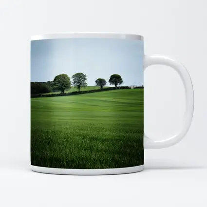 Green Rolling Fields With Trees Landscape