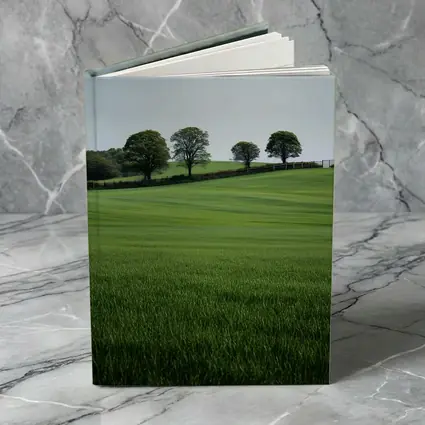 Green Rolling Fields With Trees Landscape