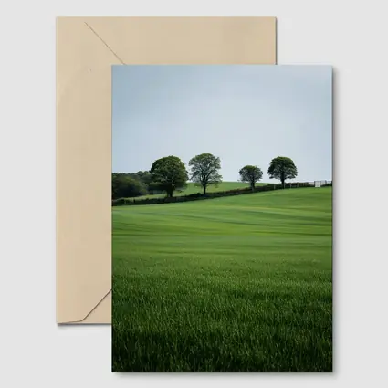 Green Rolling Fields With Trees Landscape