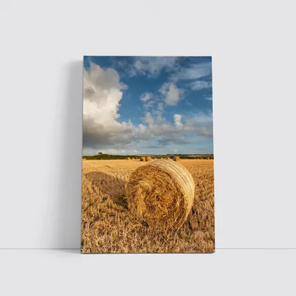 Hay Bale Golden Harvested Field Blue Sky
