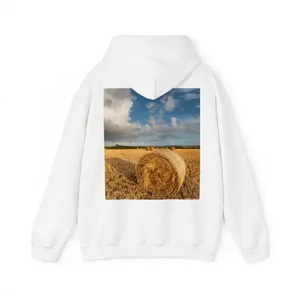 Hay Bale Golden Harvested Field Blue Sky