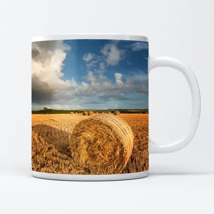 Hay Bale Golden Harvested Field Blue Sky