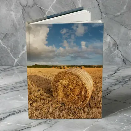 Hay Bale Golden Harvested Field Blue Sky
