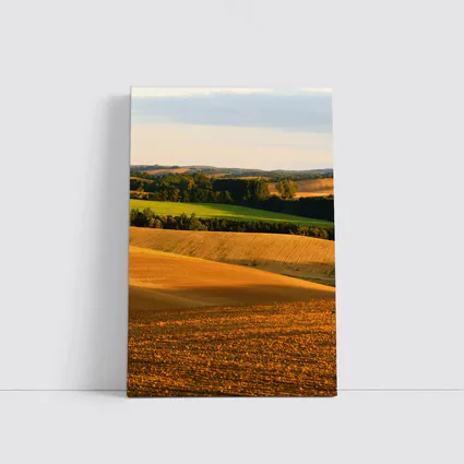 Golden Rolling Fields Green Trees Countryside