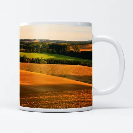 Golden Rolling Fields Green Trees Countryside