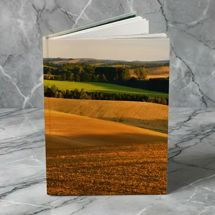 Golden Rolling Fields Green Trees Countryside