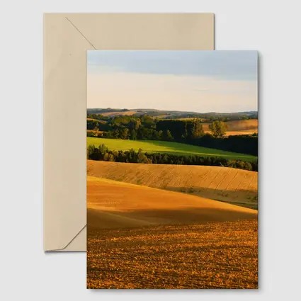 Golden Rolling Fields Green Trees Countryside