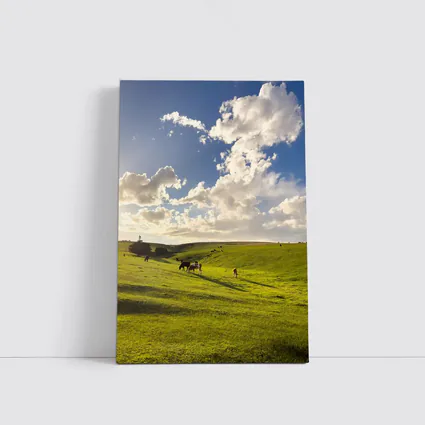 Cows Grazing Green Rolling Hills Sunny Sky