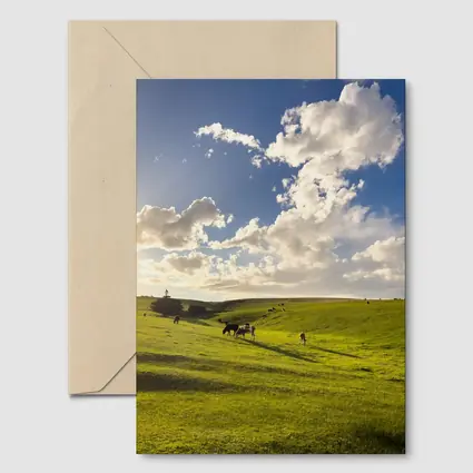 Cows Grazing Green Rolling Hills Sunny Sky