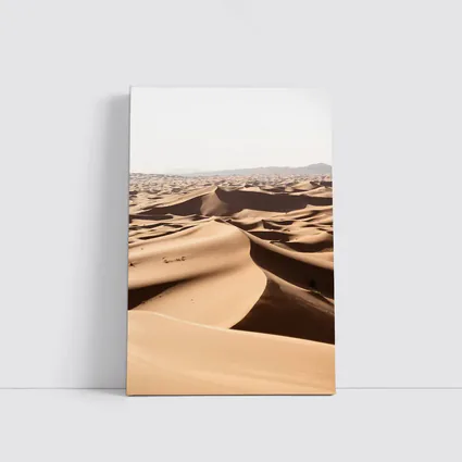 Sahara Desert Sand Dunes Aerial View
