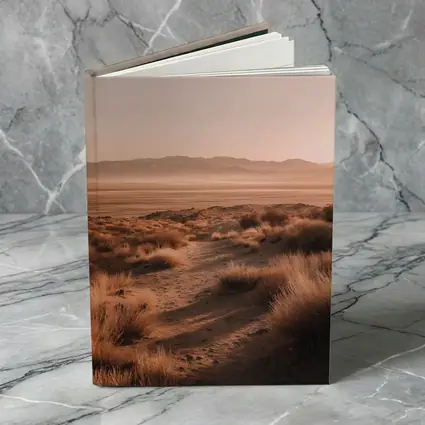 Desert Path Dry Grass Mountain Haze