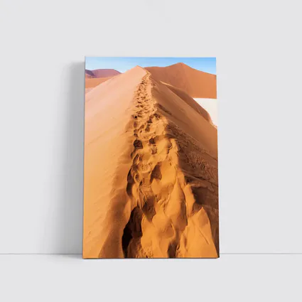 Desert Sand Dune Footprints Sunny Africa