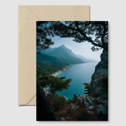 Rocky Coastal Cliffs Pine Trees Mountain View