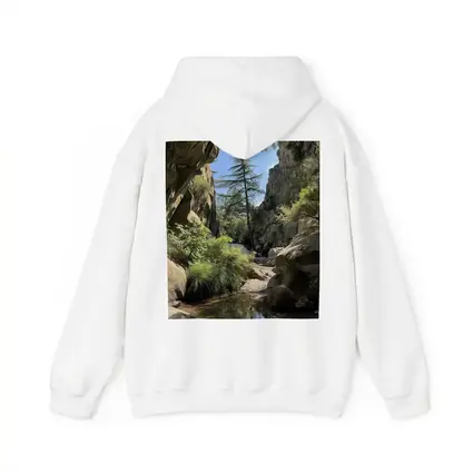 Rocky Canyon Creek With Tall Pine Tree