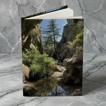 Rocky Canyon Creek With Tall Pine Tree