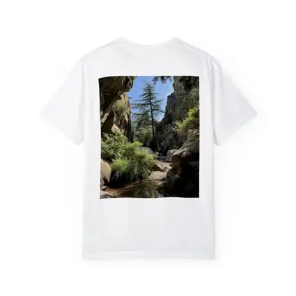 Rocky Canyon Creek With Tall Pine Tree
