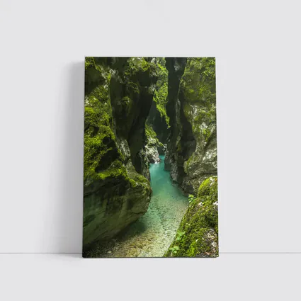 Narrow Mossy Canyon With Turquoise River