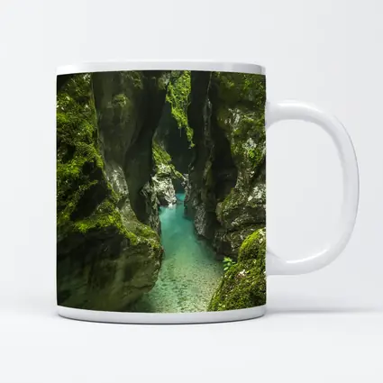 Narrow Mossy Canyon With Turquoise River