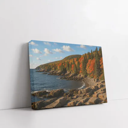 Acadia Rocky Coastline Autumn Forest Landscape