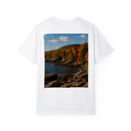 Acadia Rocky Coastline Autumn Forest Landscape